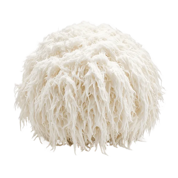 Lion's Mane