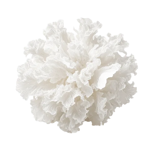 Tremella